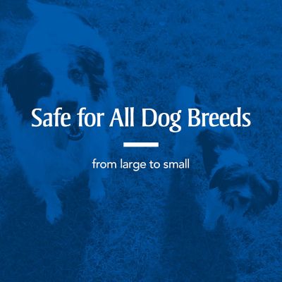 Image showing 5 th PetArmor Sure Shot Liquid Dewormer Dog, 2 oz.