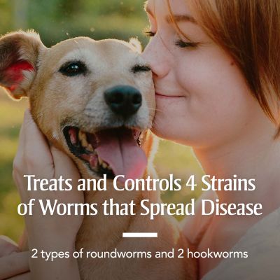 Image showing 8 th PetArmor Sure Shot Liquid Dewormer Dog, 2 oz.