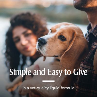 Image showing 9 th PetArmor Sure Shot Liquid Dewormer Dog, 2 oz.