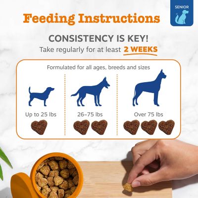 Image showing  Senior Advanced 11-in-1 Multivitamin Bites, 90 ct.