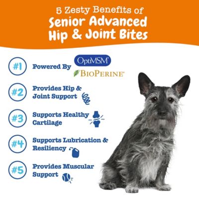 Image showing  Senior Advanced Hip & Joint Bites, Chicken, 90ct