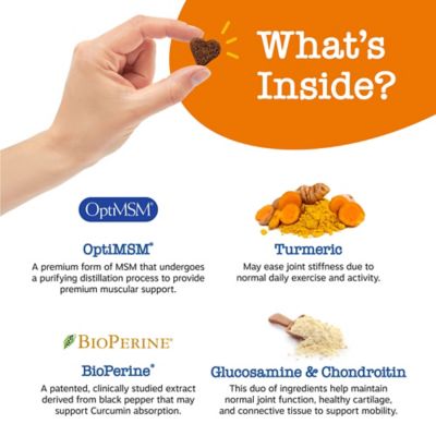 Image showing  Senior Advanced Hip & Joint Bites, Chicken, 90ct