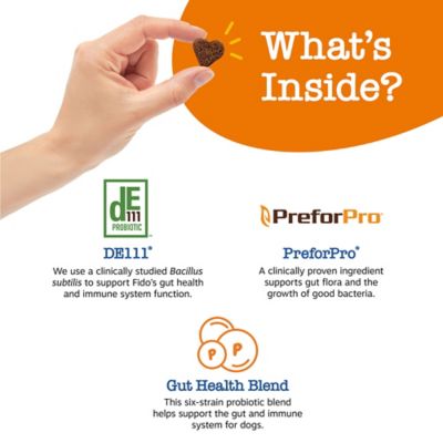 Image showing  Senior Advanced Probiotic Bites, Chicken, 90 ct.