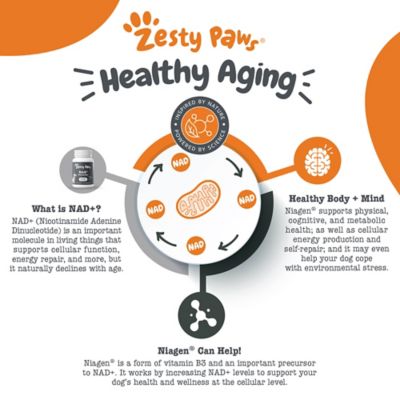 Image showing  Healthy Aging NAD Plus Precursor Powder, 30 Sachets