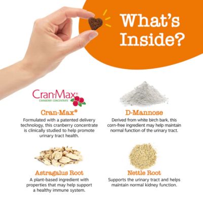 Image showing 8 th Zesty Paws Urinary Tract Bites, 90 ct.