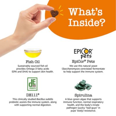 Image showing  Vet Strength Allergy & Immune Bites, Smoked Cheese, 90 ct.