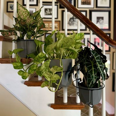 Image showing  RailScapes 0.5-0.75 in. - 3 Pack - Floating Railing Planter Holder