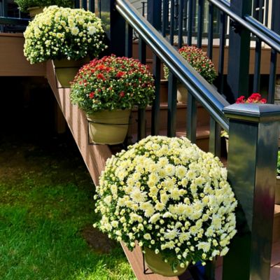 Image showing  RailScapes 1.25-1.5 in. - 1 Pack - Floating Railing Planter Holder
