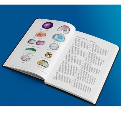 Image showing  Geologists Primer - RPG Hardcover Sourcebook