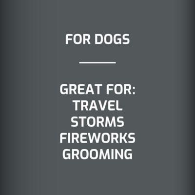 Image showing  Calming Aid with Melatonin Soft Chews for Dogs, 90 ct.