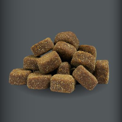 Image showing  Healthy Aging 5-in-1 Supplement Soft Chews for Senior Dogs, 90 ct.