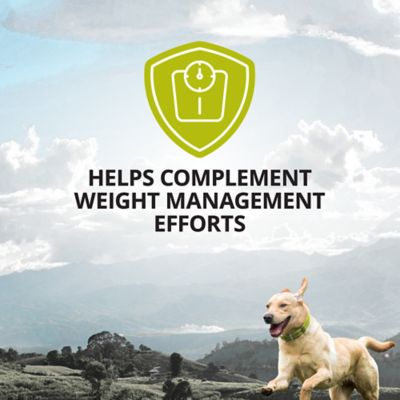 Image showing  Weight Management Supplement Soft Chews for Dogs, 90 ct.
