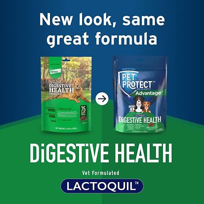 Image showing  Digestive Health Lactoquil Soft Chews for Dogs, 60 ct.