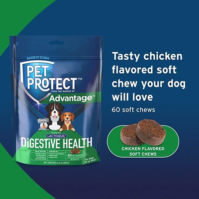 Image showing  Digestive Health Lactoquil Soft Chews for Dogs, 60 ct.