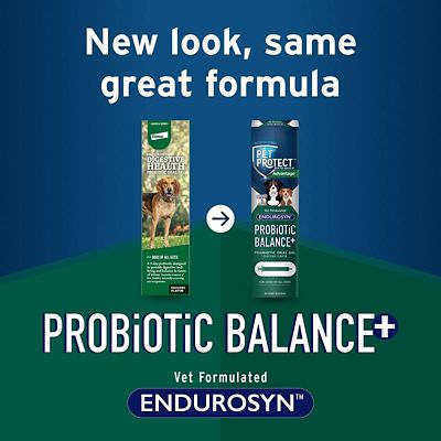 Image showing  Probiotic Balance and Endurosyn Oral Gel for Dogs, 32g