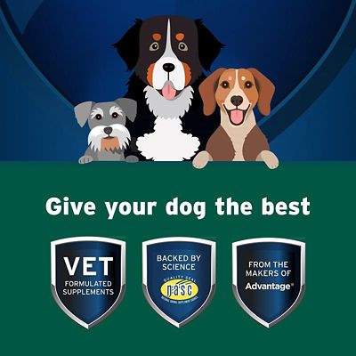 Image showing  Probiotic Balance and Endurosyn Oral Gel for Dogs, 32g