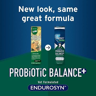 Image showing  Pet Protect Probiotic Balance and Endurosyn Oral Gel for Cats, 15g