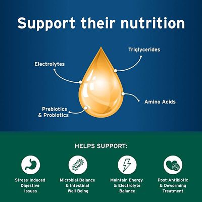 Image showing  Pet Protect Probiotic Balance and Endurosyn Oral Gel for Cats, 15g