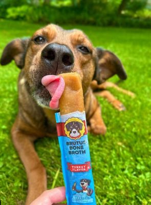 Image showing  Brothcicle All-Natural Turkey-Flavored Popsicle for Pets, 6 ct.