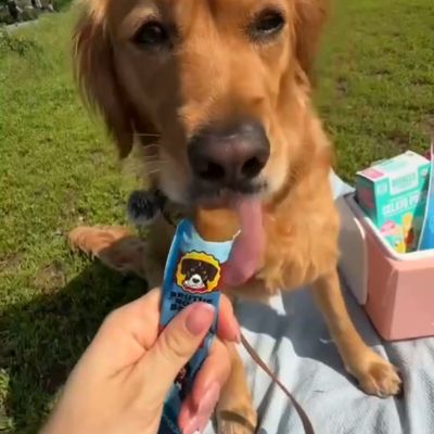 Image showing  Brothcicle All-Natural Turkey-Flavored Popsicle for Pets, 6 ct.