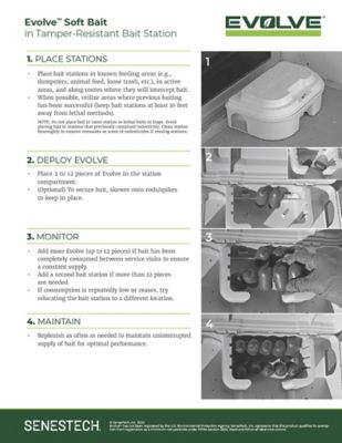 Image showing  Soft Bait Formulated for Rats, 6 lb.