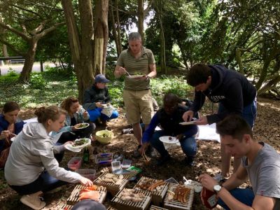 Image showing  Disposable Single-Use Eco Quick Light-Up BBQ