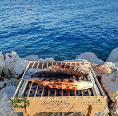 Image showing 8 th CasusGrill Disposable Single-Use Eco Quick Light-Up BBQ