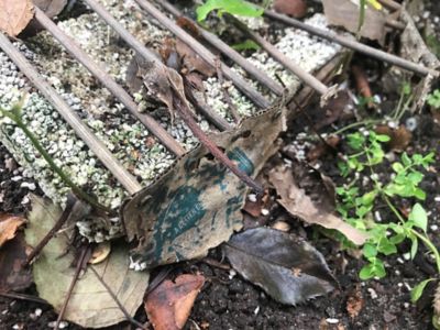 Image showing 9 th CasusGrill Disposable Single-Use Eco Quick Light-Up BBQ