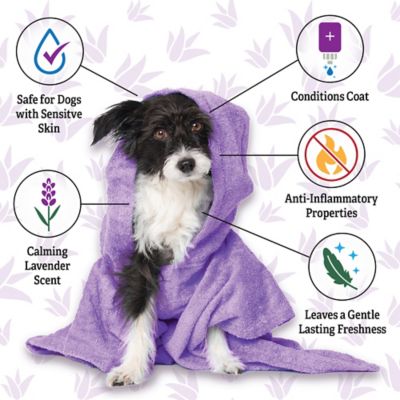 Image showing  Calm & Cool Lavendar Dog Shampoo & Conditioner, 20 oz.