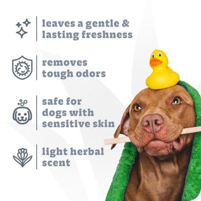 Image showing  Intense Charcoal Odor Neutralizer Dog Shampoo & Condtioner, 20 oz.