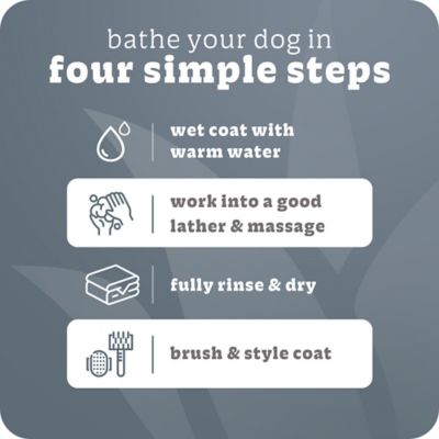 Image showing  Intense Charcoal Odor Neutralizer Dog Shampoo & Condtioner, 20 oz.