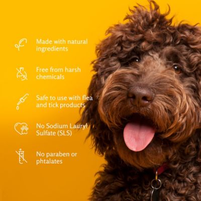 Image showing  Soothing Oatmeal Dog Shampoo for Pets - Vanilla Coconut