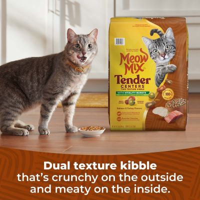 Image showing  Tender Centers with Vitality Bursts Salmon and Turkey Recipe Dry Cat Food