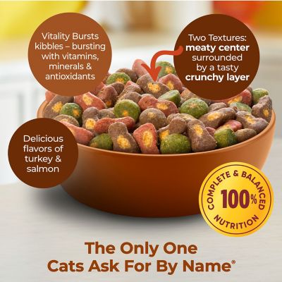 Image showing  Tender Centers with Vitality Bursts Salmon and Turkey Recipe Dry Cat Food