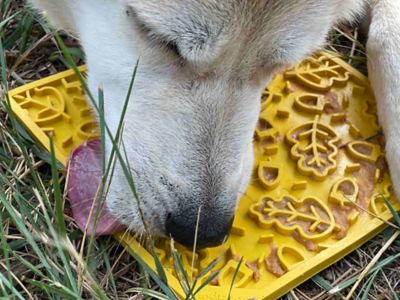 Image showing 5 th SodaPup Autumn Emat Lick Mat