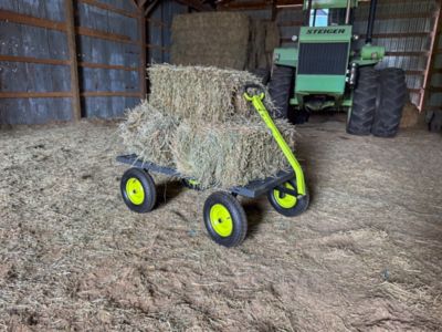 Image showing  Jumbo Wagon