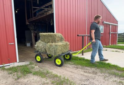 Image showing  Jumbo Wagon