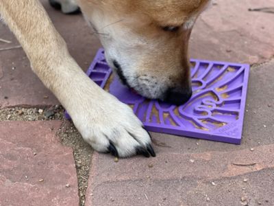 Image showing  Groovy Love Emat Lick Mat