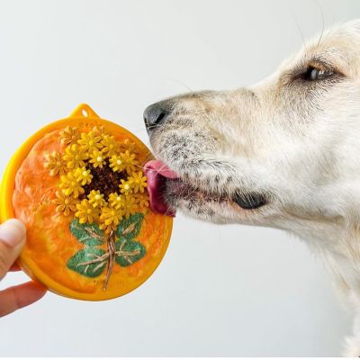 Image showing  Earth Ecoin Durable Licking Device