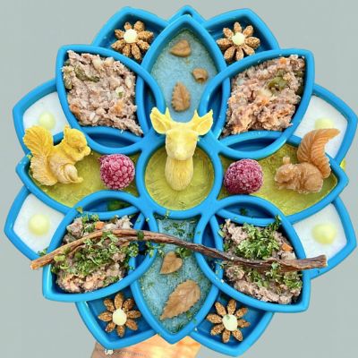 Image showing  Mandala Etray Shallow Slow Feeder