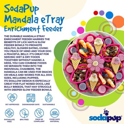 Image showing  Mandala Etray Shallow Slow Feeder
