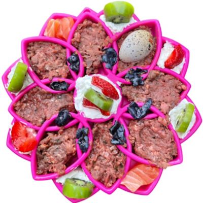 Image showing  Mandala Etray Shallow Slow Feeder