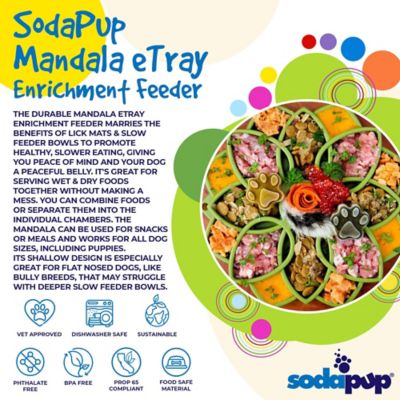 Image showing  Mandala Etray Shallow Slow Feeder