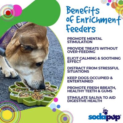 Image showing  Mandala Etray Shallow Slow Feeder