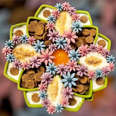 Image showing  Mandala Etray Shallow Slow Feeder