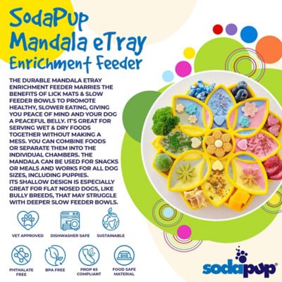 Image showing  Mandala Etray Shallow Slow Feeder