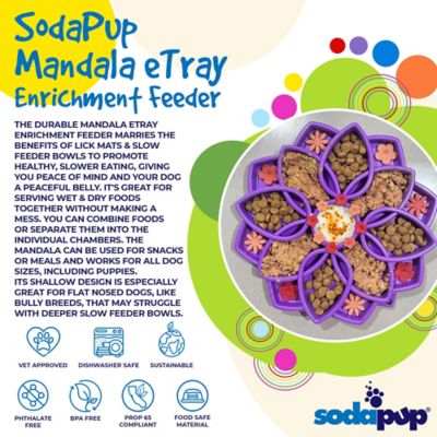 Image showing  Mandala Etray Shallow Slow Feeder