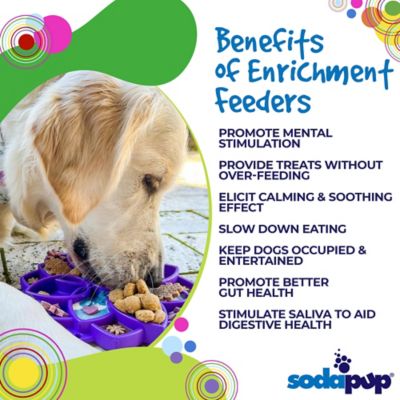 Image showing  Mandala Etray Shallow Slow Feeder