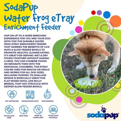 Image showing  Bull Frog Etray Shallow Slow Feeder