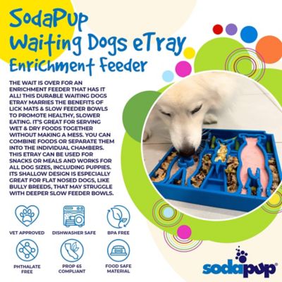 Image showing  Waiting Dogs Etray Shallow Slow Feeder